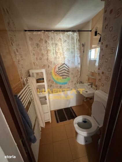 Inchiriere Apartament 3 Camere Aleea Vasile Goldis - 17