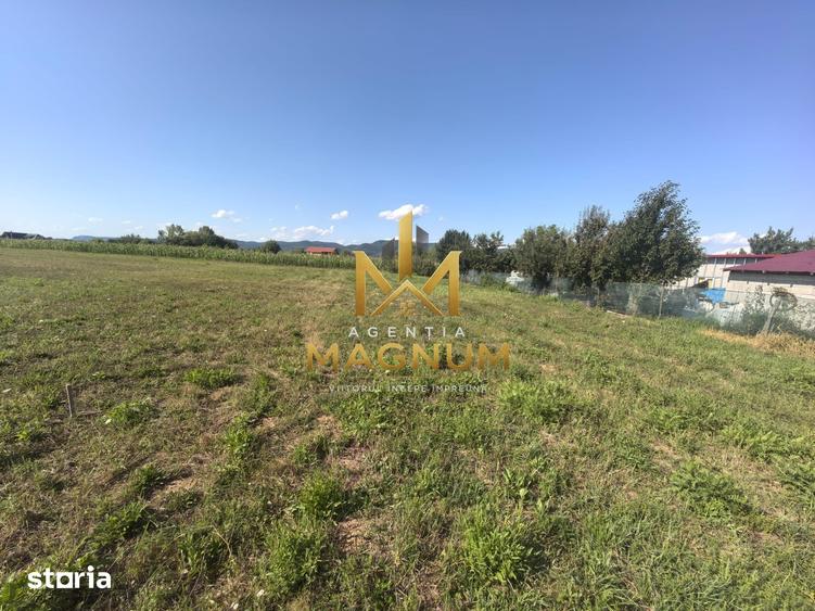 Teren de 600 mp, în Tăuții-Măgherăuș