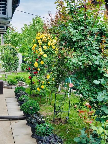 Parter cu structură pentru etaj, curte amenajată și organizare impeca - 7