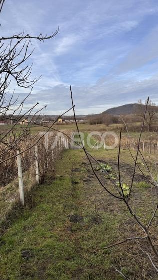 Casa de vanzare cu curte spatioasa loc relaxare si gradina Cornatel - 11