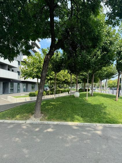 Spatiu Comercial | Stradal | 338 m2 | Trafic intens | Vitralii | - 12