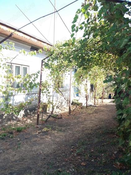Casa de vanzare 1242 mp teren - 1