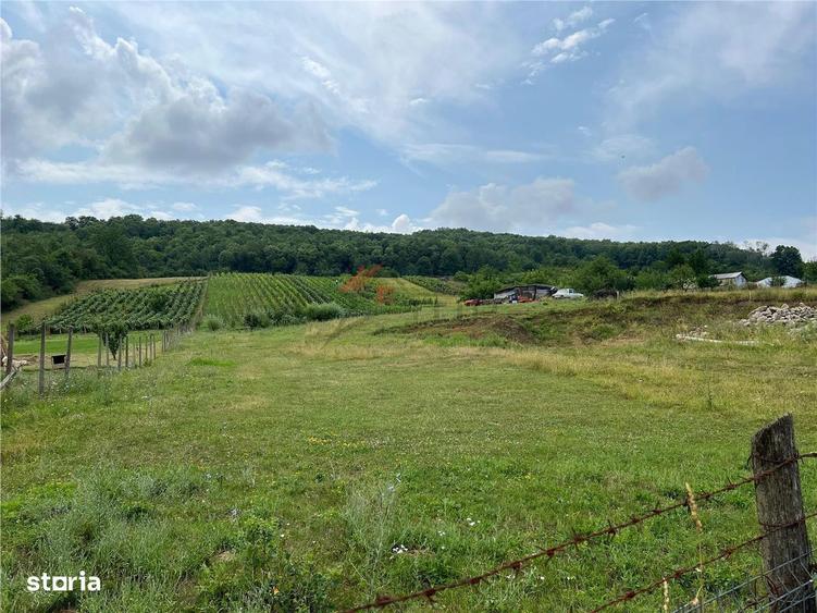 Teren Tomesti 3750MP - 6