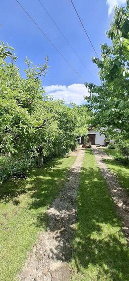 Proprietar vand casa in Valea Lupului pozi?ie excelenta, gradina superba ?i poten?ial comercial - 8