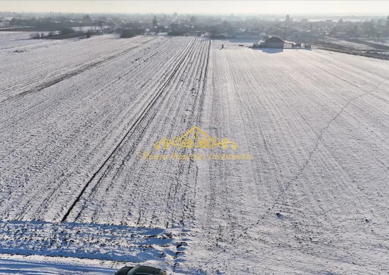 Teren, 7470 mp Trestieni Ulmi si casa - 2