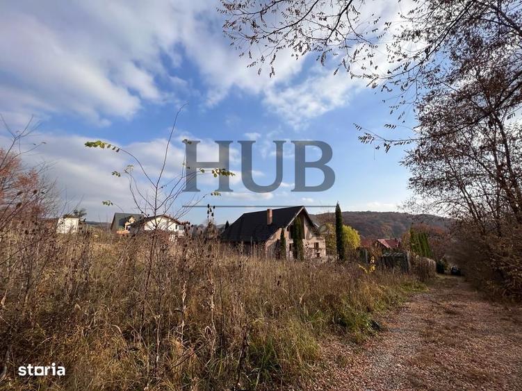 TEREN 1095MP -PODIS -DN 2G- BACAU -MOINESTI - 6