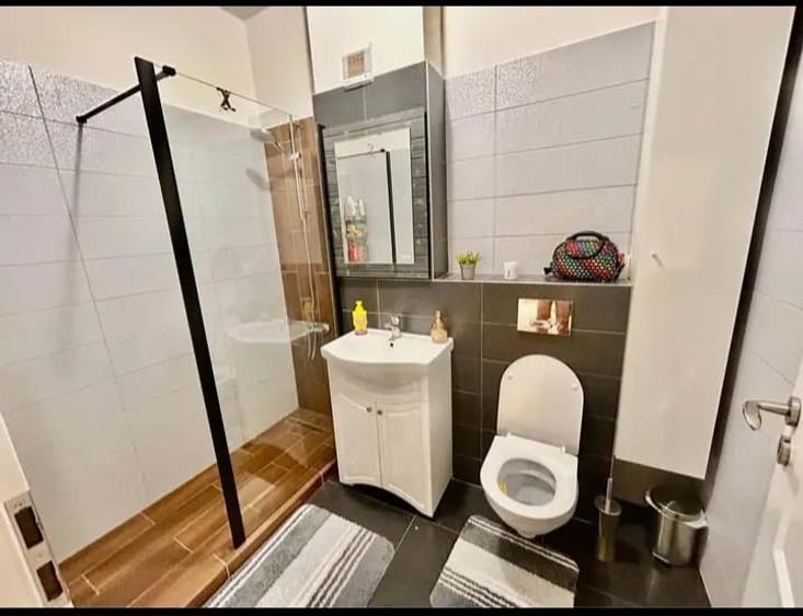 Apartament cu 2 camere, decomandat, zona Bucium - Lidl - 6