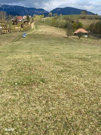 Vand 4 terenuri in Pestera, judetul Brasov, zona Moieciu. - 4