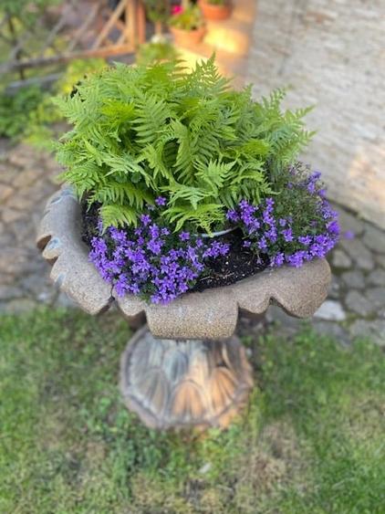 Casa superba Parcul Subarini - 36