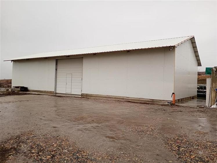 Hala, 224 mp utili, situata in zona Dealul Fanatelor! - 1