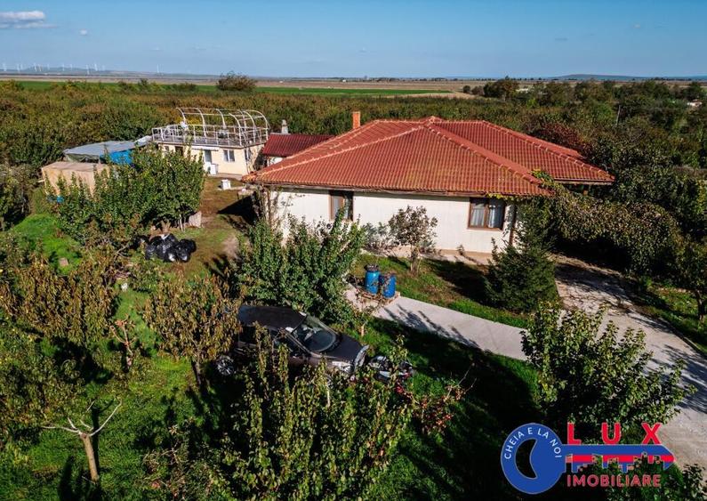 ID 7785 LIVADA SABANGIA DE VANZARE - 19