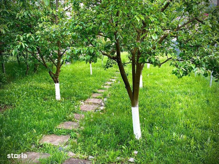 Casa 2 camere de inchiriat cu gradina, cartier Dambul Rotund - 1