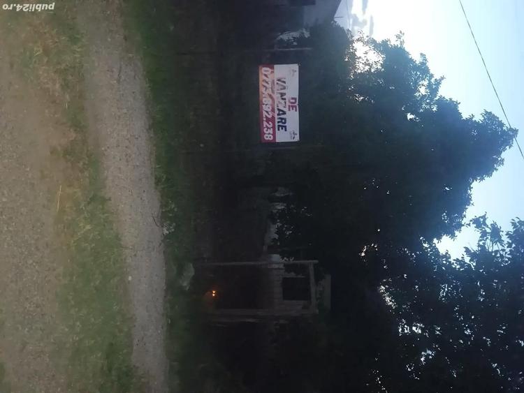 Casa batraneasca Pogoanele - 7