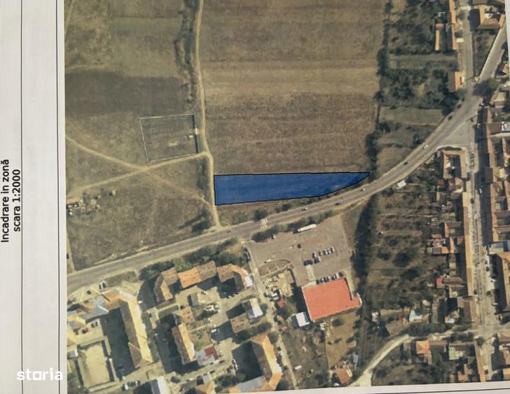 TEREN DE VANZARE - Direct PROPRIETAR in Moldova Noua - 5