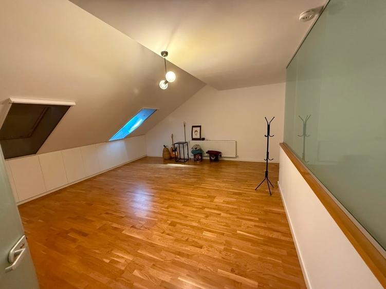 Vila premium - Matei Millo Pipera - 10