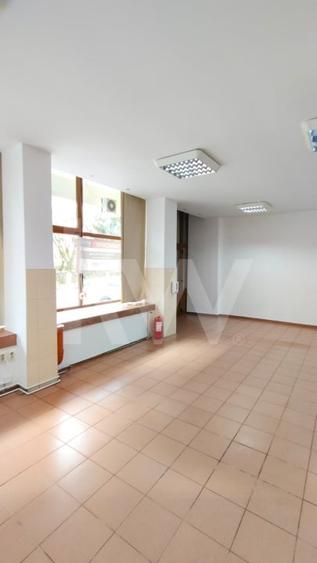 SPATIU COMERCIAL DE INCHIRIAT VALEA AURIE - 14