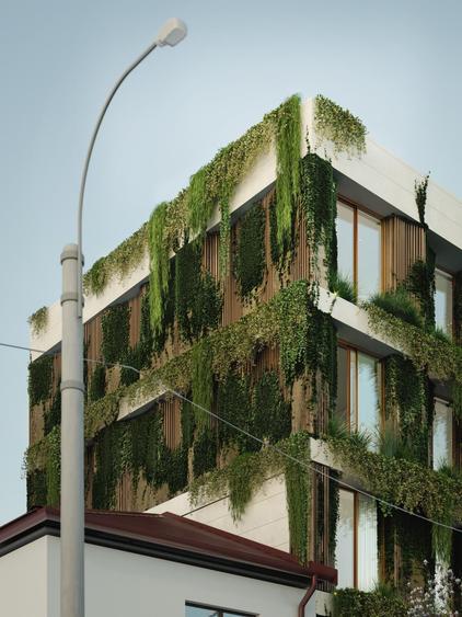 Teren Domenii cu autorizatie de constructie in curs - 5