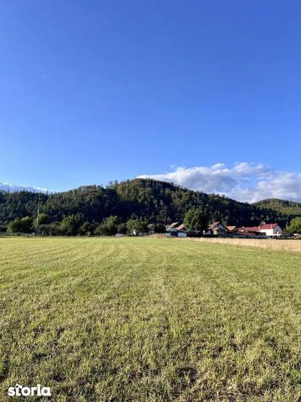 Teren 650 mp Zarnesti - 1