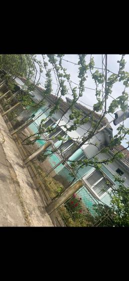 Casa de vanzare /Scarisoara Olt - 8
