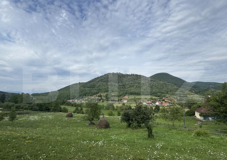 Teren intravilan, 4364 mp, in Luncoiu de Jos - 6