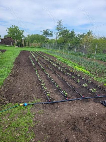 Vand casa cu teren la 65 km de Bucuresti,s-au schimb cu ap 3 camere Bucuresti - 6