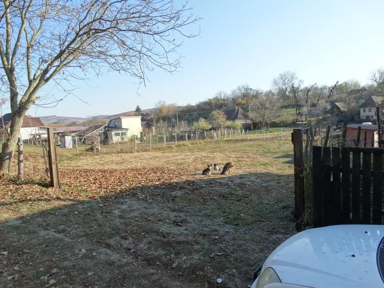 De vanzare teren pentru constructie in Sanvasii - 5