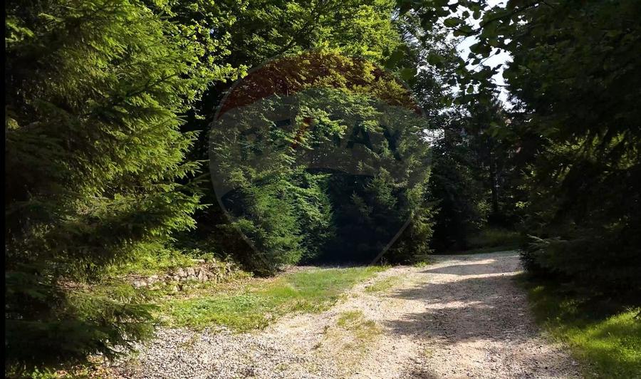 Teren 2000mp intravilan de vanzare in Poiana Brasov! Comision 0%! - 3