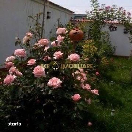 Casa 6 Camere de vanzare | Ilfov | Rosu | Gradina | Curte proprie - 9