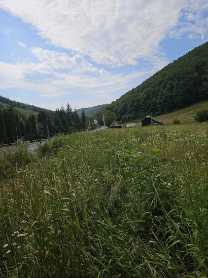 Teren de 5500 mp, în Hurez