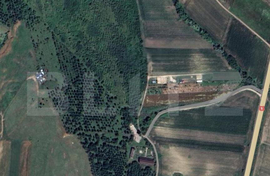 Teren extravilan 5996 mp, zona Valea Sasului - Teius - 1