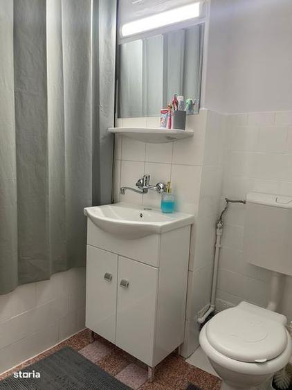 Vand garsoniera Lapus Arges - Trenul pierdut - 4