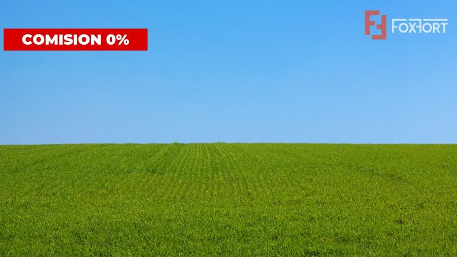 COMISION 0% Teren extravilan pentru inchiriere in Sacalaz - 1