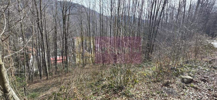 Tere intravilan de vanzare in Sinaia - 1