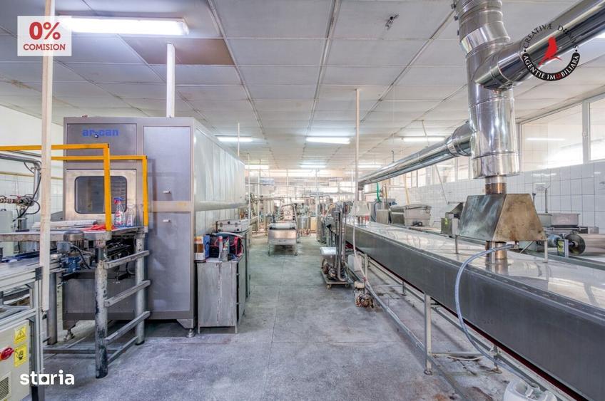 Vanzare fabrica de napolitane si dulciuri - jud. Giurgiu - 7