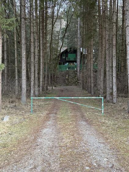 Cabana Valea Doftanei - 8