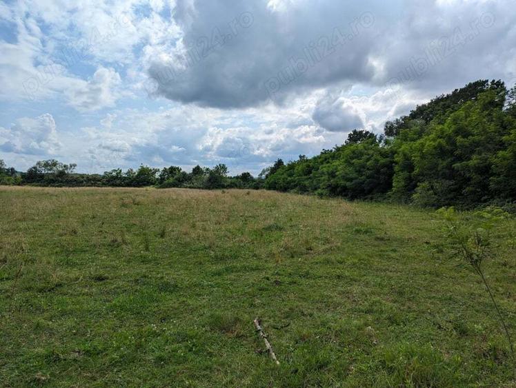 Casa 115 m sat Pomi 1 Hectar pamant - 1