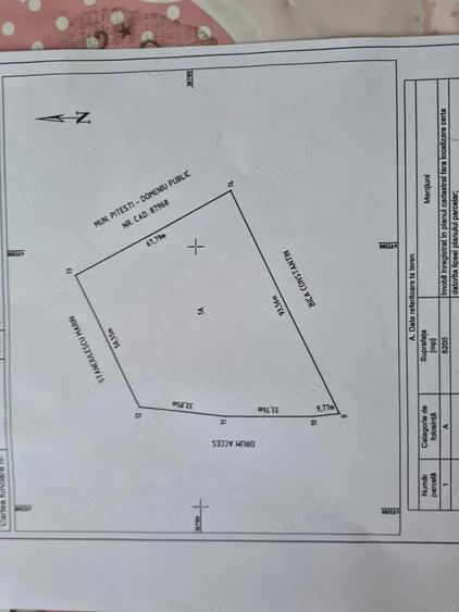 Vnd Teren Intravilan 5200 m pret 50 e Bradu strada cetului vizavi Pitesti Arges - 1