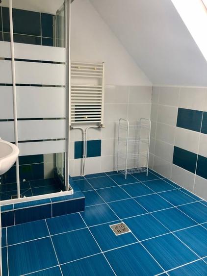 Apartament 2 camere, 53 mp, mobilat utilat, zona Muzeul Apei - 7