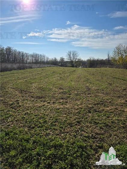 Teren intravilan, 3751mp oportunitate de investitie, cu utilitati, comuna Daia, - 1