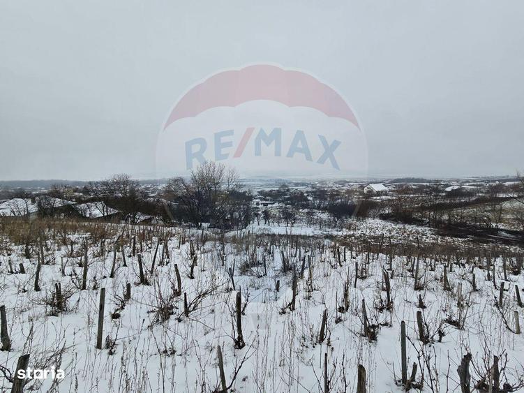 Teren intravilan 7000 mp Simnic, Izvor - 2