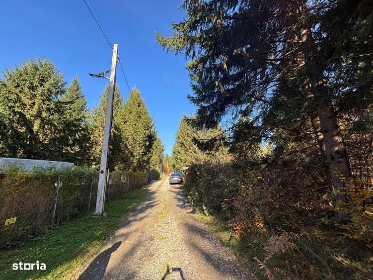 Teren intravilan 1725mp zona Valea Avrigului - 4