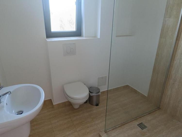 Vila 4 camere in Snagov, suprafata utila 240 mp, suprafata teren 1100 mp. - 21