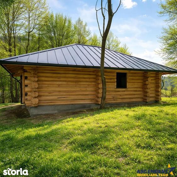 3.000mp de incantare montana cu cabana din lemn masiv, Zarnesti Tohani - 9