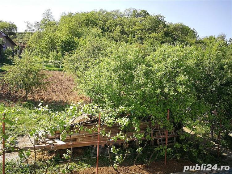 Vand casa cu teren - 1