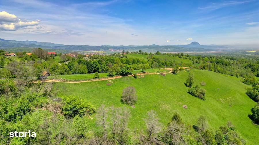 Teren extravilan 20.000 mp, zona retrasa, vedere spre Mun?ii Bucegi - 7
