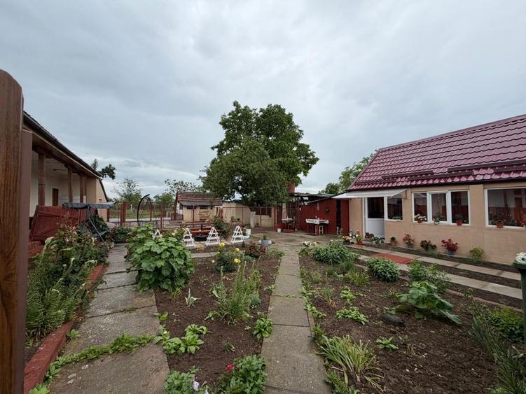 Casa cu teren de 3.000 mp in Herneacova - 2