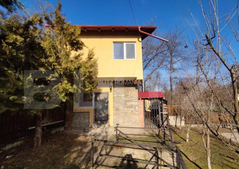 Casa individuala 4 camere plus casa de oaspeti, Drajna