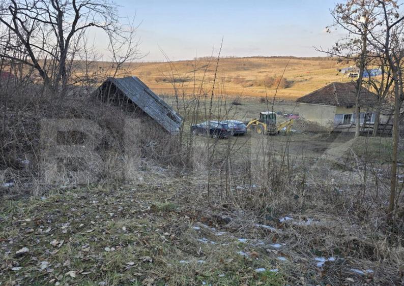 Teren intravilan 7.9 ha. Sandra - 19