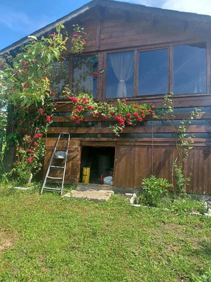 Cabana de vanzare - 1