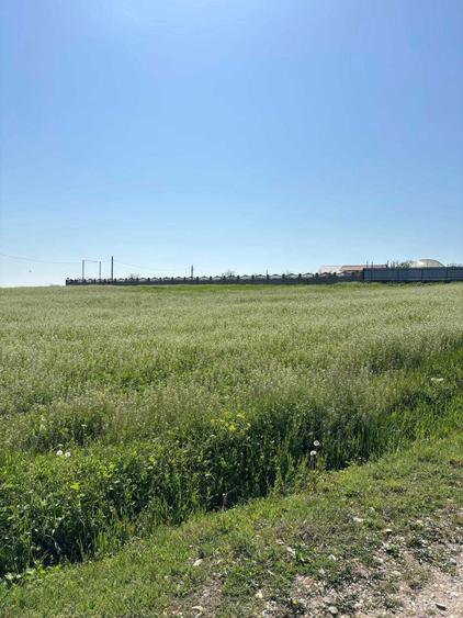 Vand teren Gostilele de 1960 mp intr-o zona linistita de pescuit sportiv - 1